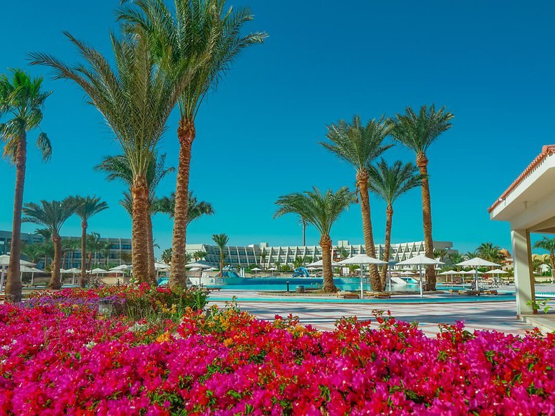 от София: Pharaoh Azur Resort 5* - Перлите на Египет - Кайро и Хургада с полет  - ПРОЛЕТ 2026